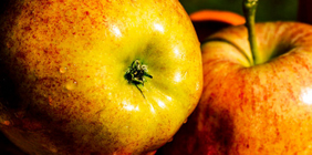 电脑短信轰炸机